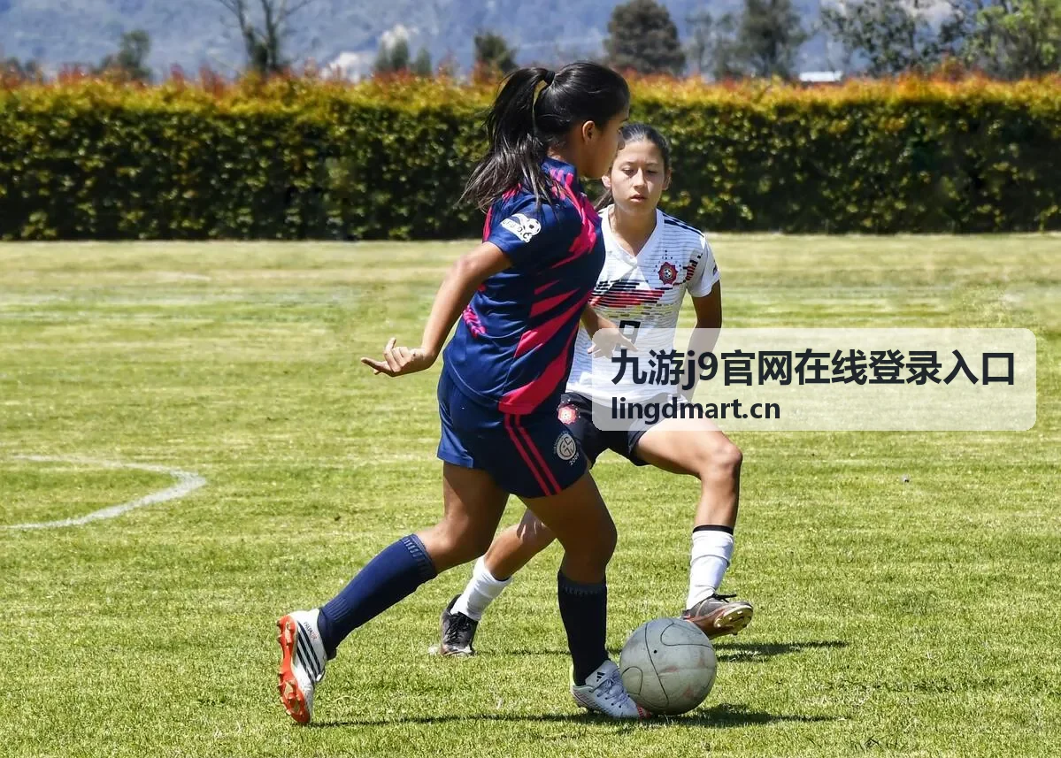 动作冒险游戏 九游j9平台